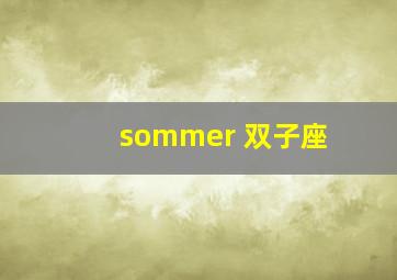 sommer 双子座